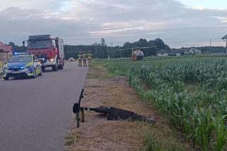  Wypadek nastolatków na hulajnodze, lądował śmigłowiec LPR