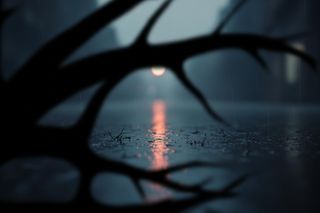 Madzia z Sosnowca. Czy pamięć o niej wciąż trwa?