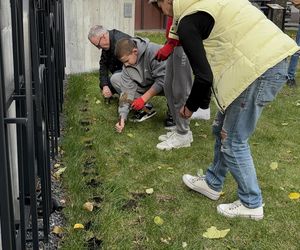 Uczniowie sadzili żonkile przy skwerze pamięci