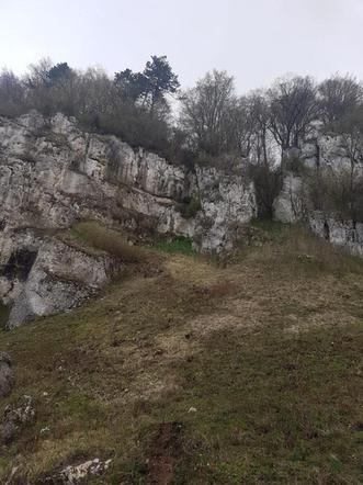 Samochód spadł z 50-metrowej skarpy	