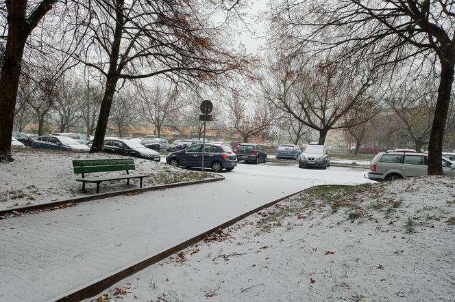 Spadł pierwszy śnieg! Zobacz jak wyglądają ulice Poznania