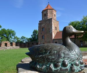 Miasto, które słynie ze szpitala psychiatrycznego i zamku. Toszek na zdjęciach