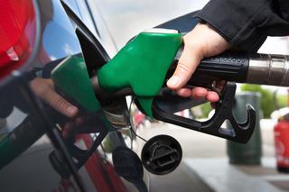 Ceny paliw spadają! Za co konkretnie płacimy na stacjach benzynowych? [INFOGRAFIKA]