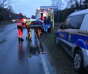 Starszy mężczyzna leżał na poboczu ruchliwej drogi! Wcześniej spędził noc w lesie