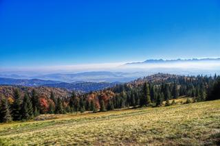 Liczne szlaki turystyczne i stoki narciarskie. Oto małopolskie pasmo górskie idealne na rodzinną wycieczkę 