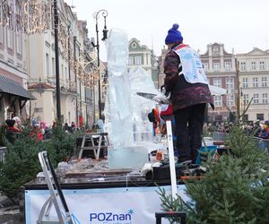 Poznań Ice Festival 2024 