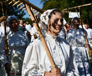 Tłumy na dożynkach w Olsztynku. Zobacz, jak wyglądało tegoroczne święto plonów