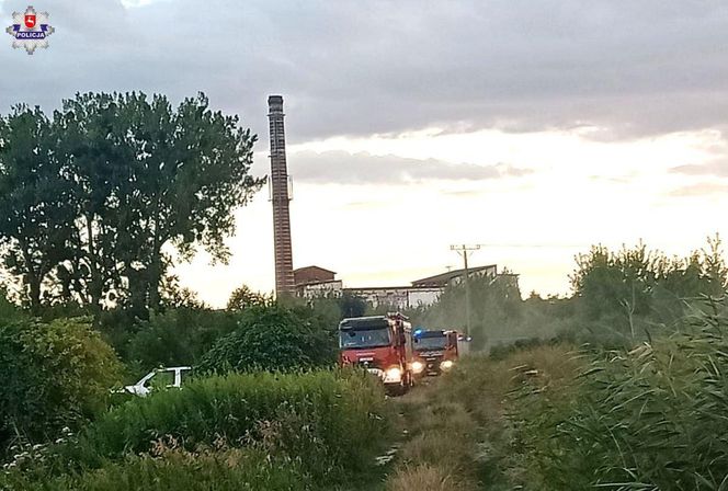 Tragiczny finał poszukiwań w woj. lubelskim. Sprawą zajmuje się policja