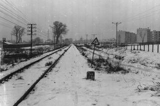 Wampir nie zabił, szukają mordercy bez twarzy