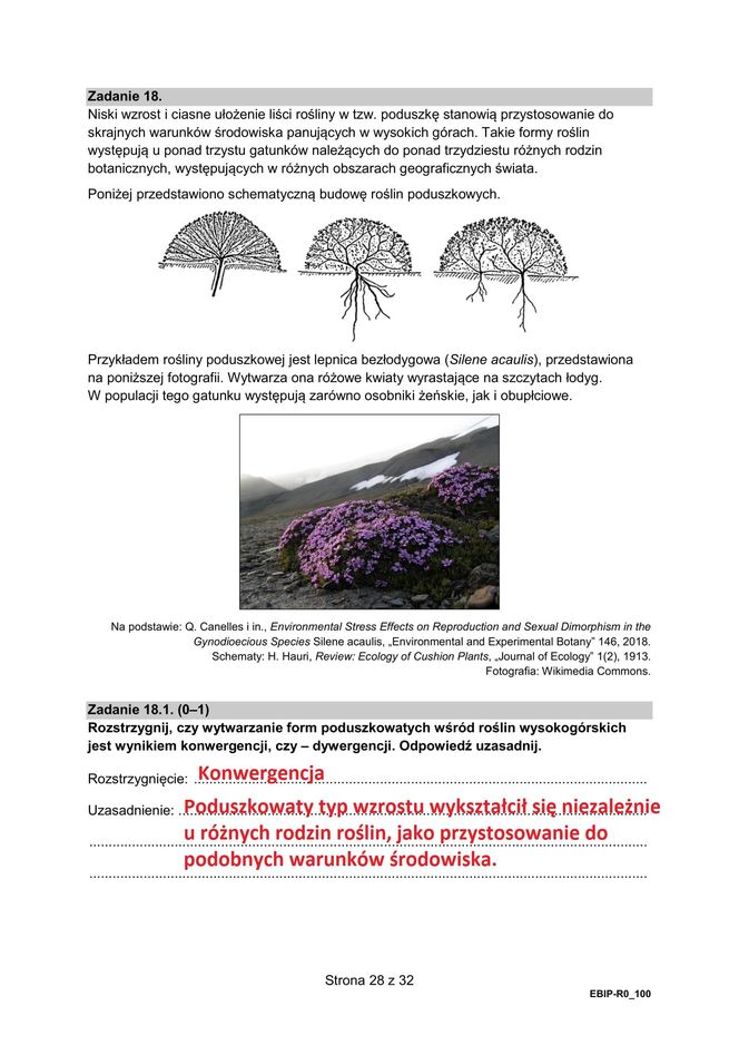 Matura 2025 biologia rozszerzona: ODPOWIEDZI do wszystkich zadań, gotowe rozwiązania matury z biologii rozszerzonej - Formuła 2015 [9.05.2025]	
