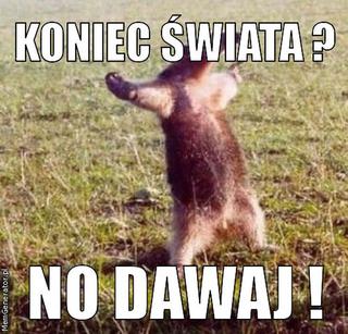 Memy: Koniec świata