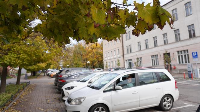 Kolorowe drzewa i klimatyczne kamienice. Ta ulica w Olsztynie zachwyca jesienią [ZDJĘCIA]