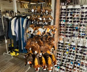 Krynica Morska to popularne miejsce na urlop. Jakie sątu ceny?