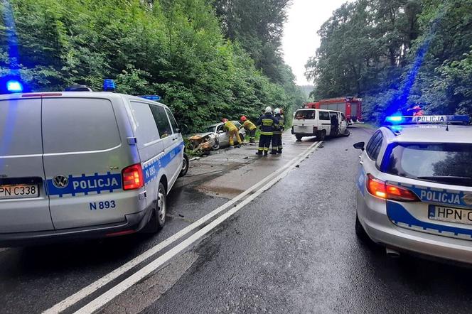 Pomorskie: Koszmarny wypadek na DW214. Dziecko w szpitalu! Policja zatrzymała obywatela Ukrainy