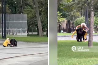  Szympans na ulicach Charkowa! Poruszająca reakcja pracowników [WIDEO] 