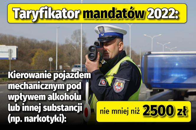 Taryfikator mandatów 2022 