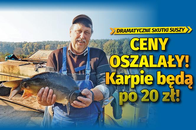 Ceny oszalały! Karpie będą po 20 zł!