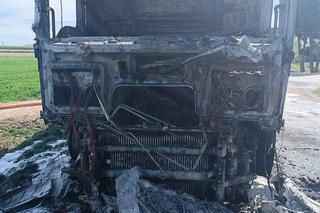 Pożar w pow. kraśnickim