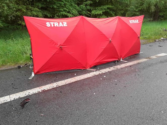 Młody mężczyzna zginął tragicznie w wypadku w powiecie kolskim