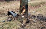 Citroen Poczty Polskiej roztrzaskał się o drzewo. 52-latek nie żyje [ZDJĘCIA]