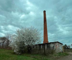 Koszmar w Kraśniku! 11-latek wpadł do maszyny formującej cegły