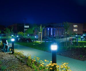 Park kieszonkowy i tężnia solankowa. To nowa atrakcja w Ostrowcu Świętokrzyskim