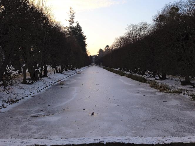 Zimowo i świątecznie w Gdańsku. Zobaczcie nasze zdjęcia!