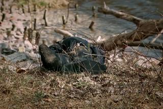 Barwy szczęścia, odc. 2694: Rafał Zaborski (Wojciech Solarz)