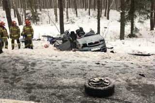 Śmiertelny wypadek na DK 58. Osobówka wjechała w ciężarówkę. Nie żyją dwie osoby