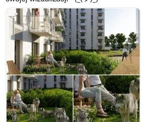 Najlepsze memy o deweloperach