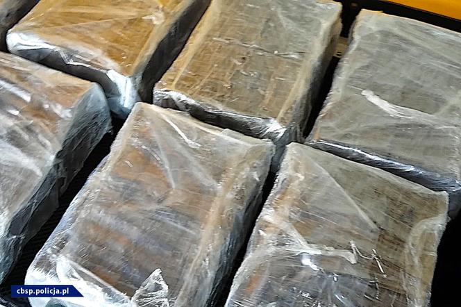 CBŚP rozbiło gang przemytników narkotyków - jest wątek Torunia!