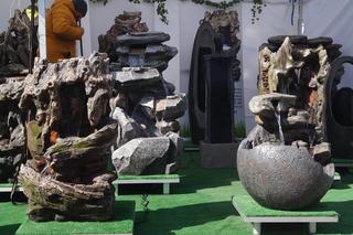 Wiosenny Kiermasz Ogrodniczy w Bydgoszczy [ZDJĘCIA]