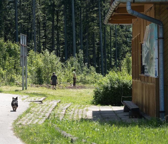 Kapela weselna zagra na pogrzebie Darka