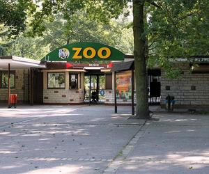 Tajemnicze narodziny w Zoo. Nikt nie wiedział 