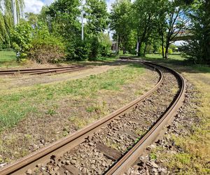 Torowisko tramwajowe na Babiej Wsi w Bydgoszczy zarośnięte chwastami. Tramwaje zniknęły stąd lata temu
