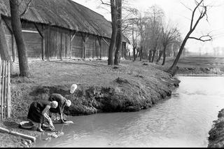 Tak mieszkało się na polskiej wsi prawie 100 lat temu. Zobaczcie te niezwykłe zdjęcia!