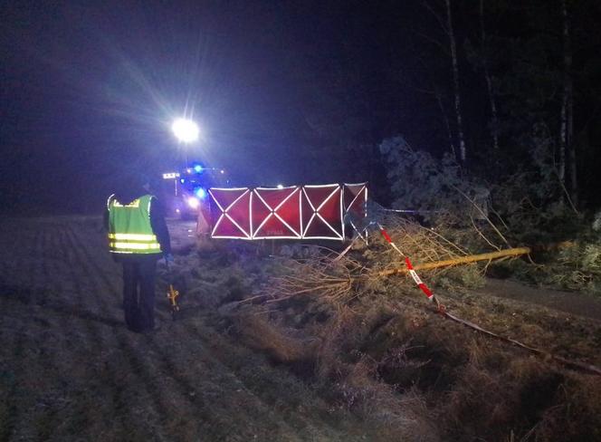 Śmiertelny wypadek w gminie Osjaków (20.11). Zginął 22-letni kierowca