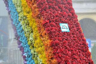 Tęcza na pl. Zbawiciela w Warszawie