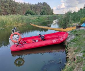 Śnięte ryby Obra