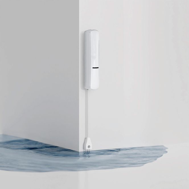 Smart home