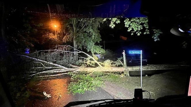 Burzowa noc w Śląskiem. Blisko 10 tys. osób bez prądu. Piorun popalił dom 