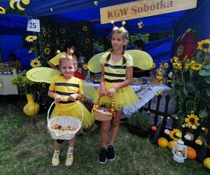 Wielkopolski Dzień Pszczół w Kaliszu