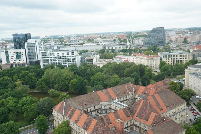 Otwarcie tarasu widokowego Collegium Altum