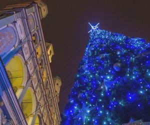 Na Starym Rynku rozbłyśnie choinka! Tego dnia w centrum Poznania zaplanowano mnóstwo atrakcji