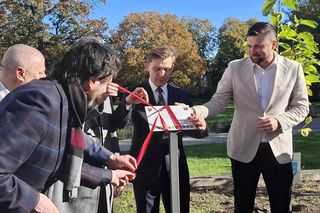 Kalisz. Przed Starostwem Powiatowym powstała alejka magnoliowa 