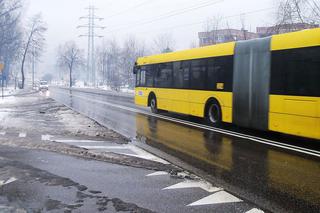 Darmowa komunikacja w całej metropolii! Trzeba jednak spełnić pewne warunki