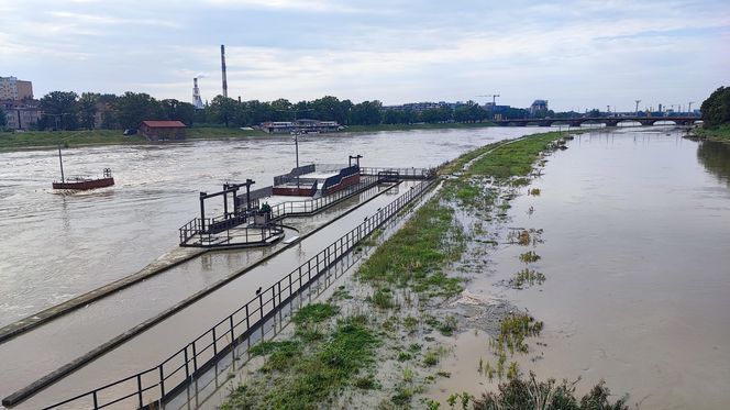 Fala powodziowa we Wrocławiu. Pod wodą są już beach bary i drogi 