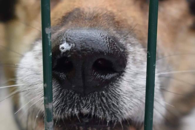 Nowy dom dla bezdomniaków coraz bliżej