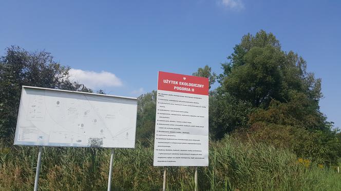 Pomost widokowy na Pogorii II w Dąbrowie Górniczej