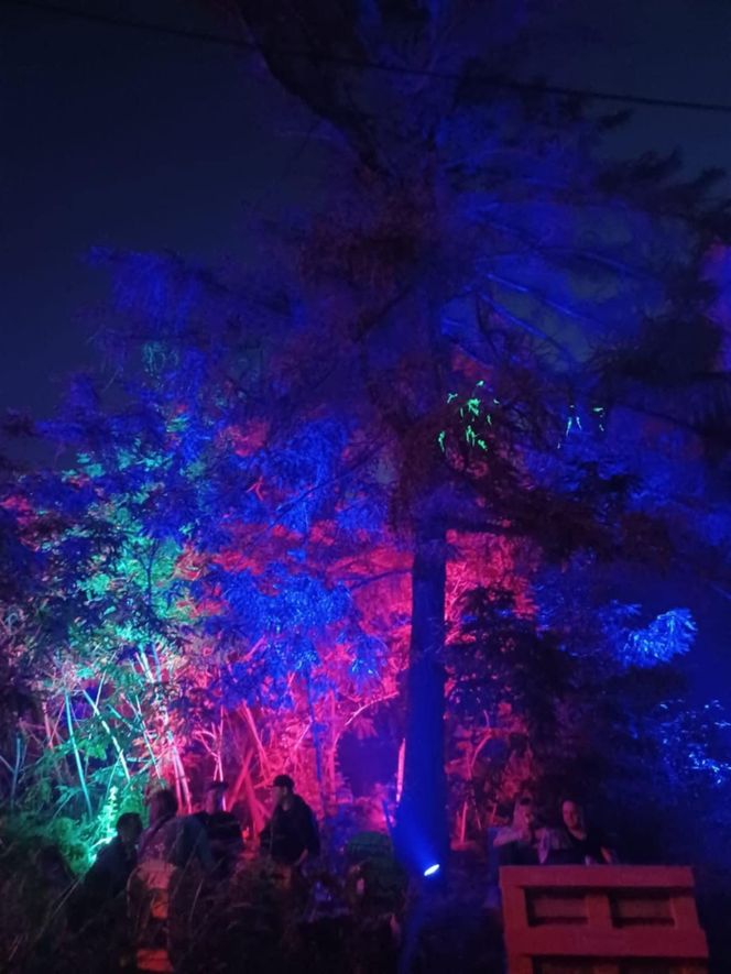 Ravekjavík 2025